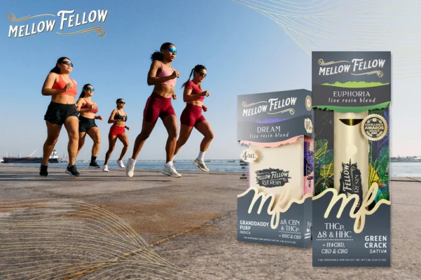 #Mellowfellow
